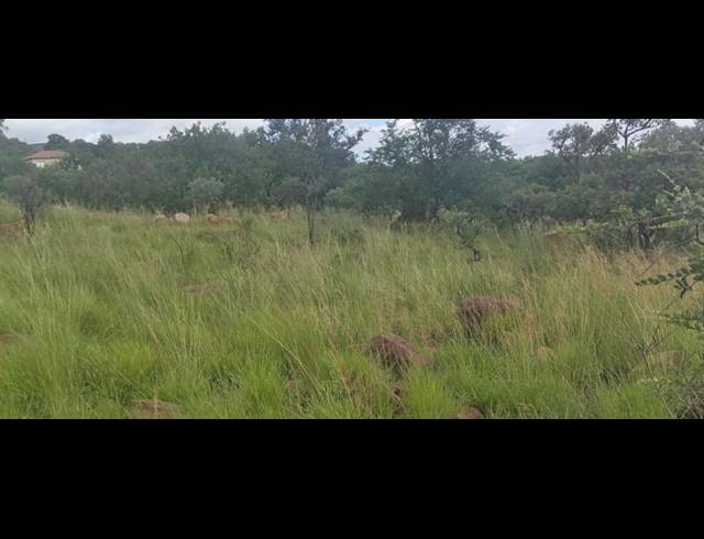 LAND FOR SALE IN ELANDSRAND
